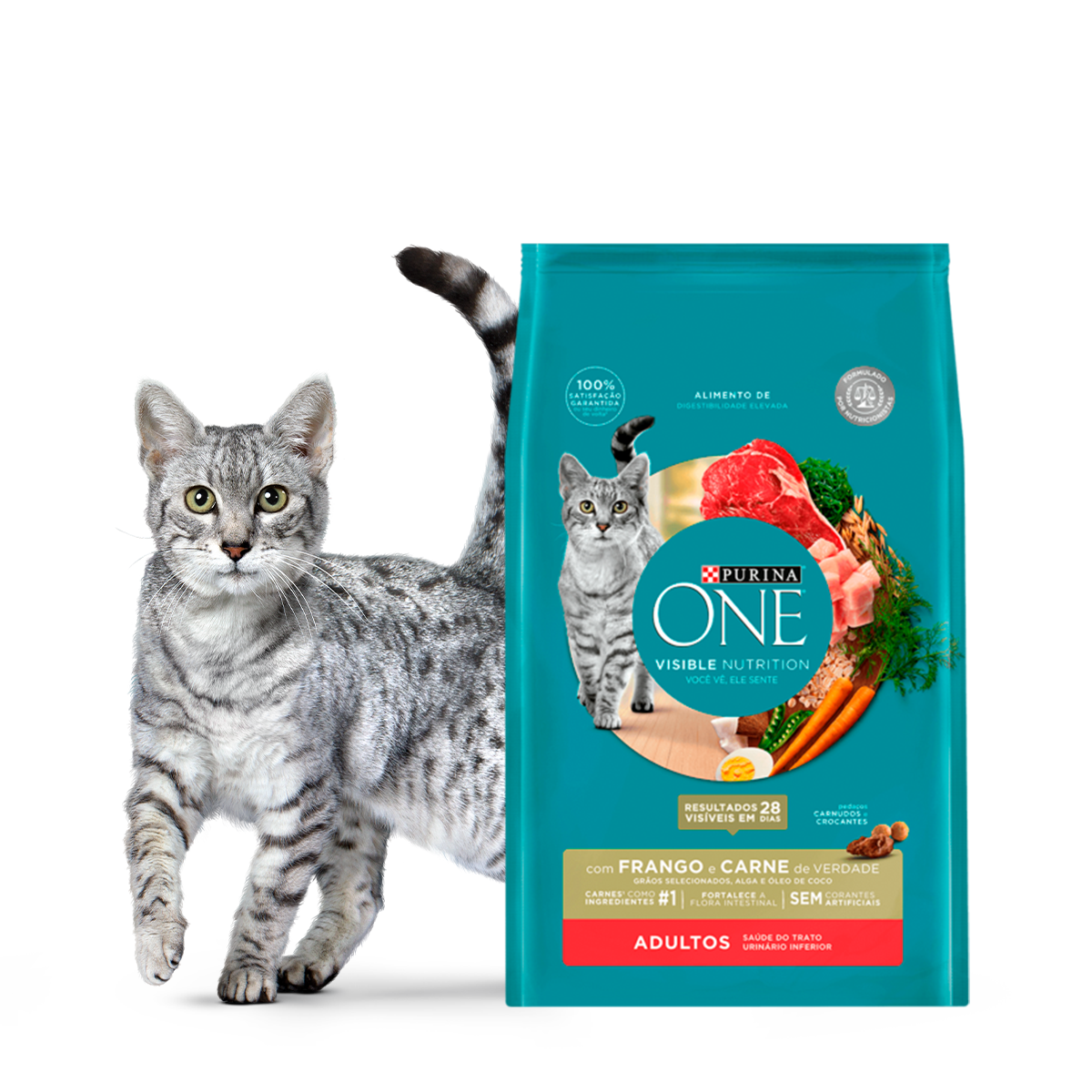 01_Purina_ONE_Productos_Gato_CATADCARNE.png