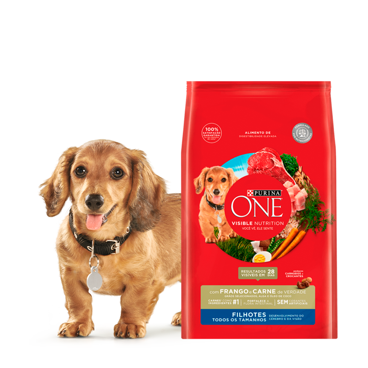 purina-one-productos-perro-filhotescarne.png
