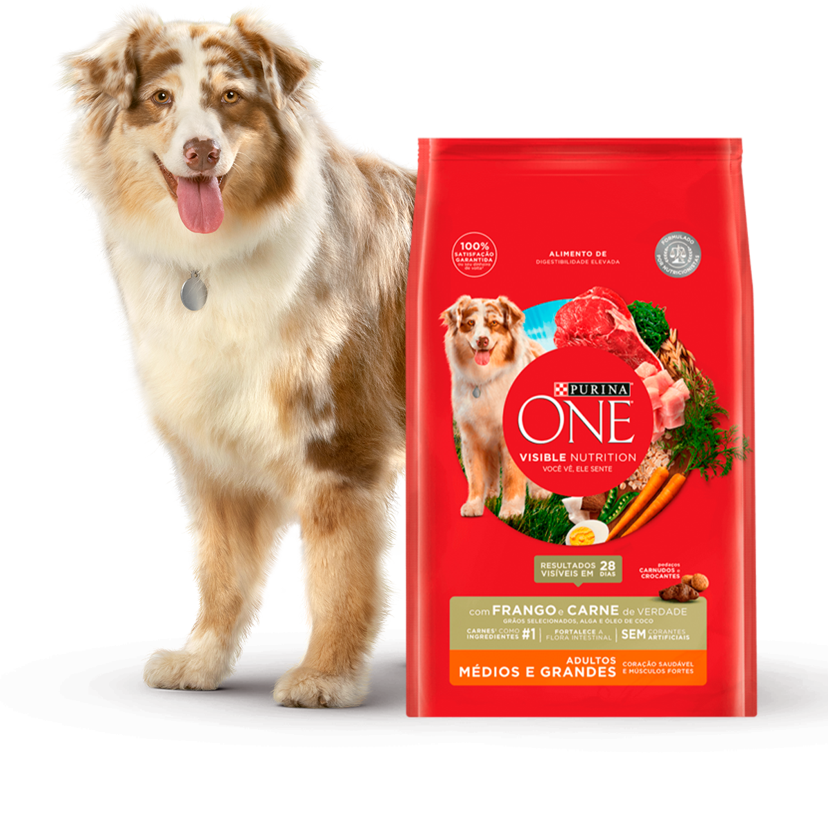 purina-one-productos-perro-rmgcarne.png