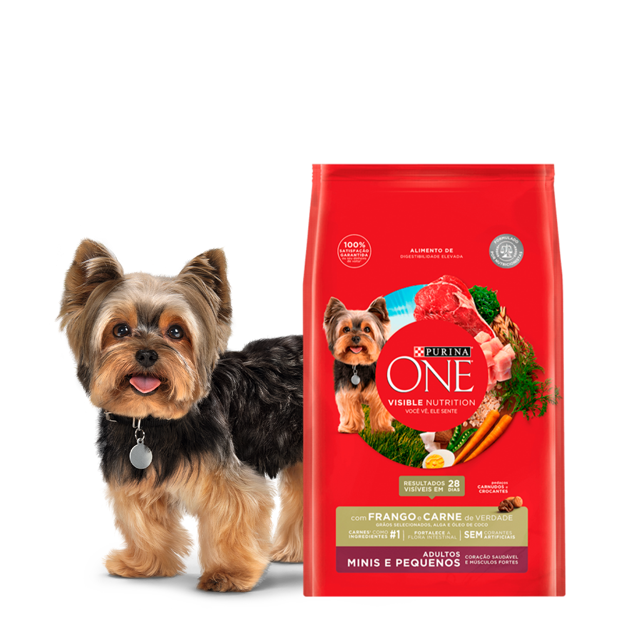 purina-one-productos-perro-rmp-carne.png