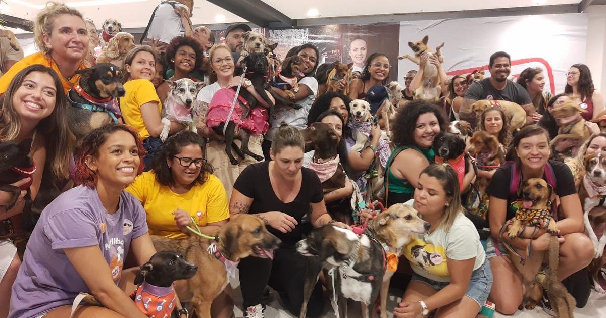 O Encãotrão SRD reúne tutores de cachorro vira-lata para estimular a adoção