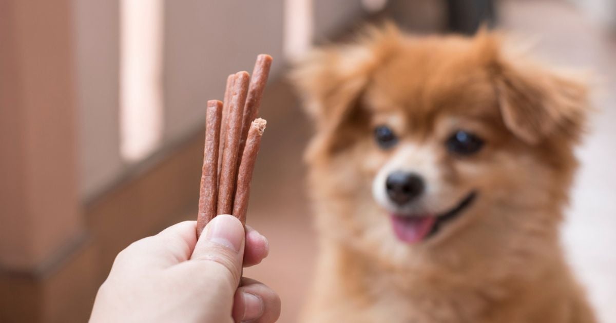 O petisco para cachorro é ideal tanto para educar o animal, quanto para diverti-lo em brincadeiras