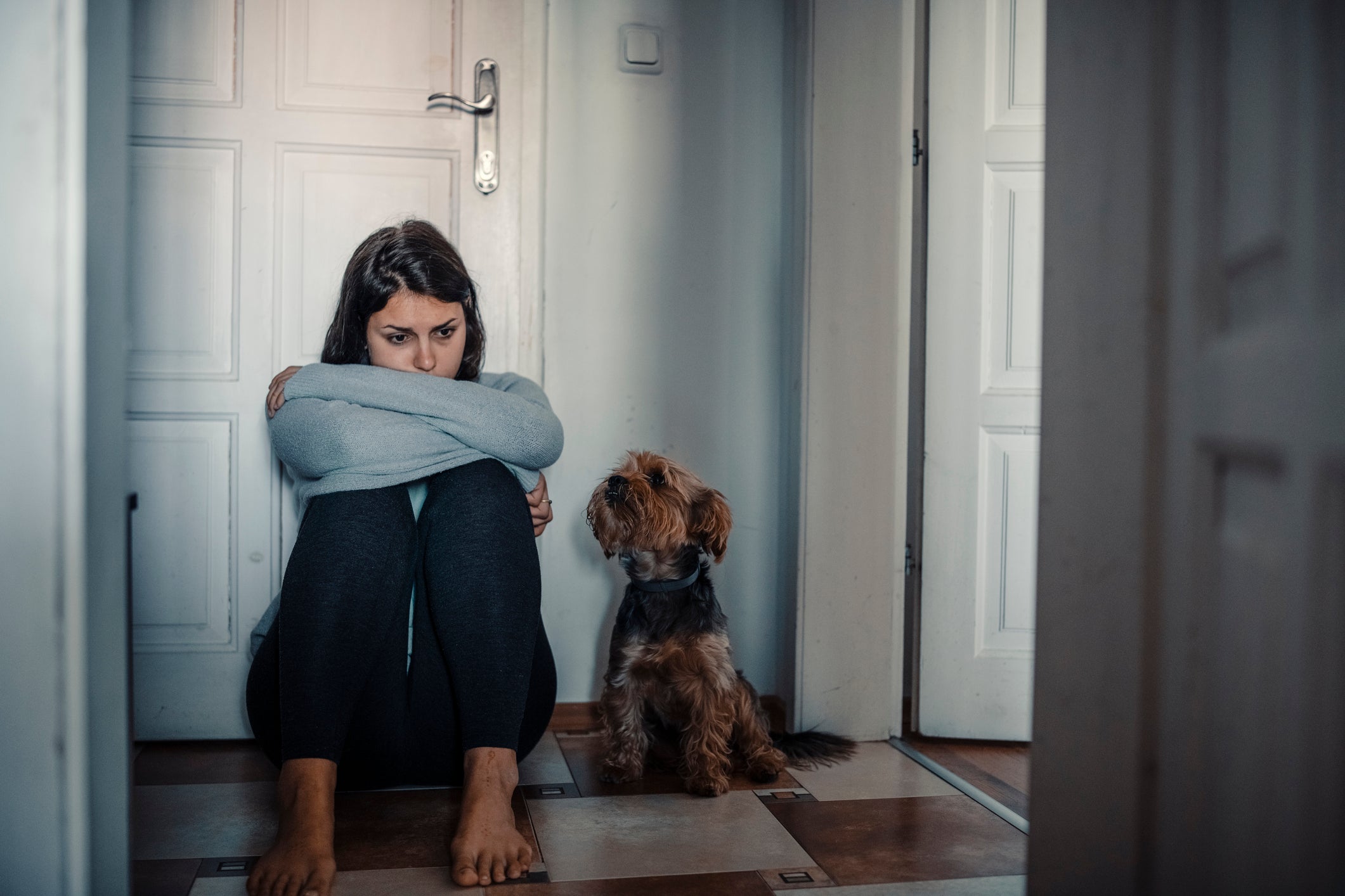Você sabia que o cachorro sente tristeza do dono? 