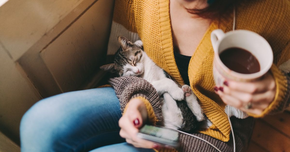 O gato escolhe o dono e pode desenvolver laços profundos com ele