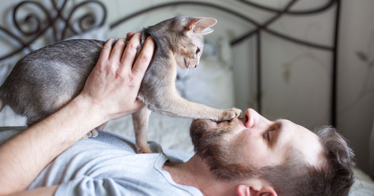 A pata de gato no rosto do dono pode ter diferentes significados