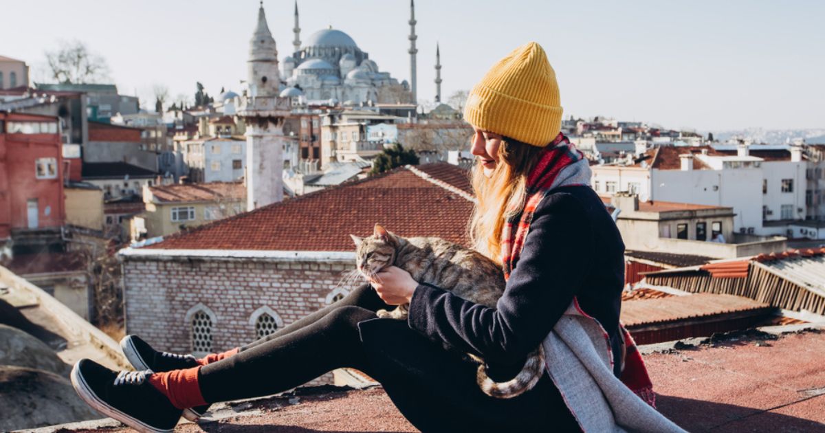 Em Istambul, gatos são muito queridos e viraram paixão nacional