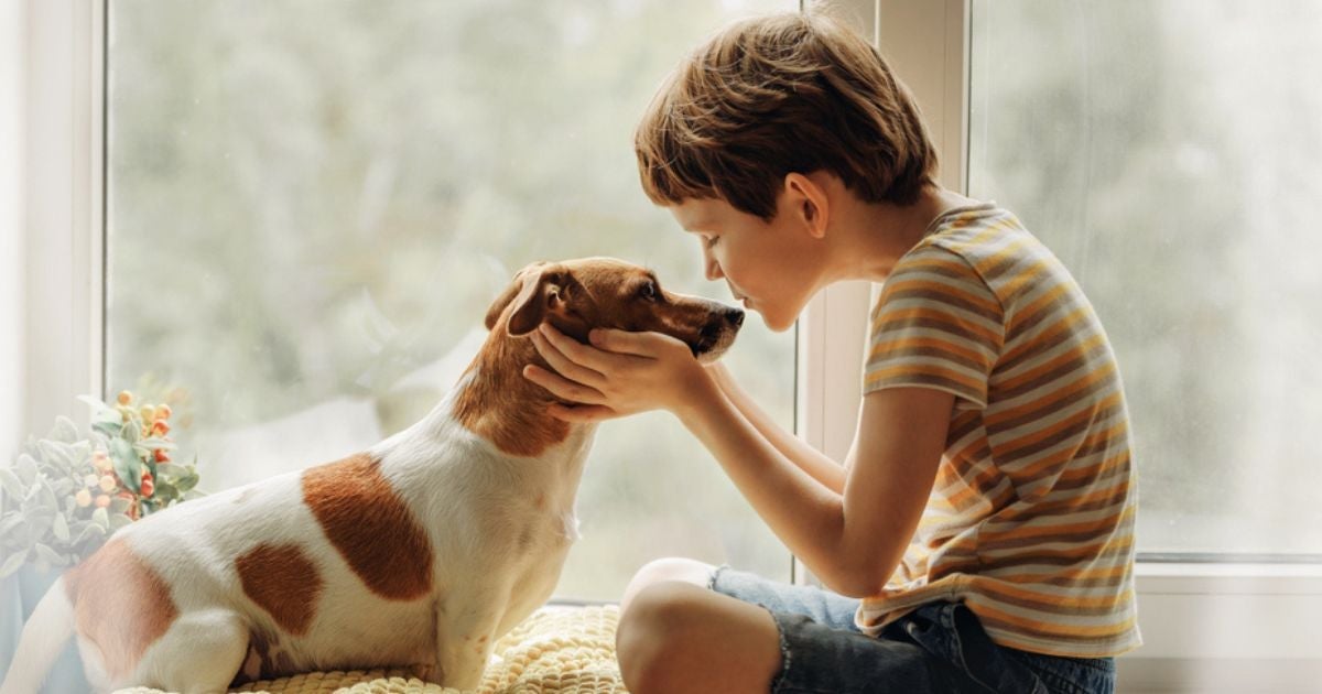 Amor de cachorro é transmitido pelo olhar: descubra como!