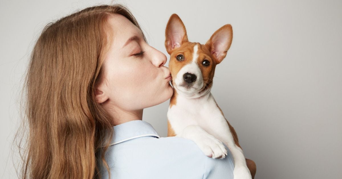 Descubra o que os cachorros pensam quando beijamos eles! 