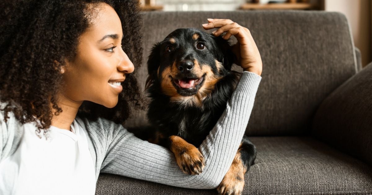 Saber como dizer eu te amo para cachorro é saber como cuidar do animal no dia a dia