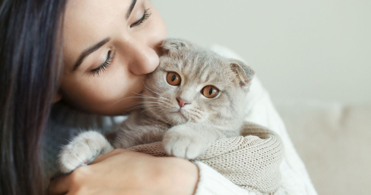 Infográfico lista 8 formas de dizer "eu te amo" para o seu gato