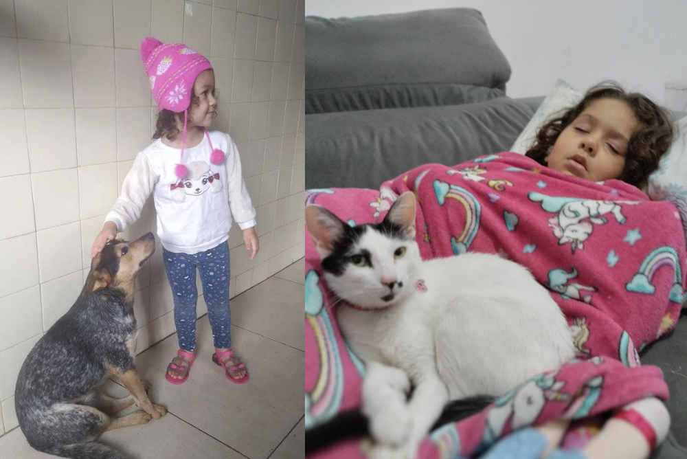 Dia das crianças pets: na foto, Surya, gatinha resgatada, e Julie, da raça Pastor Boiadeiro