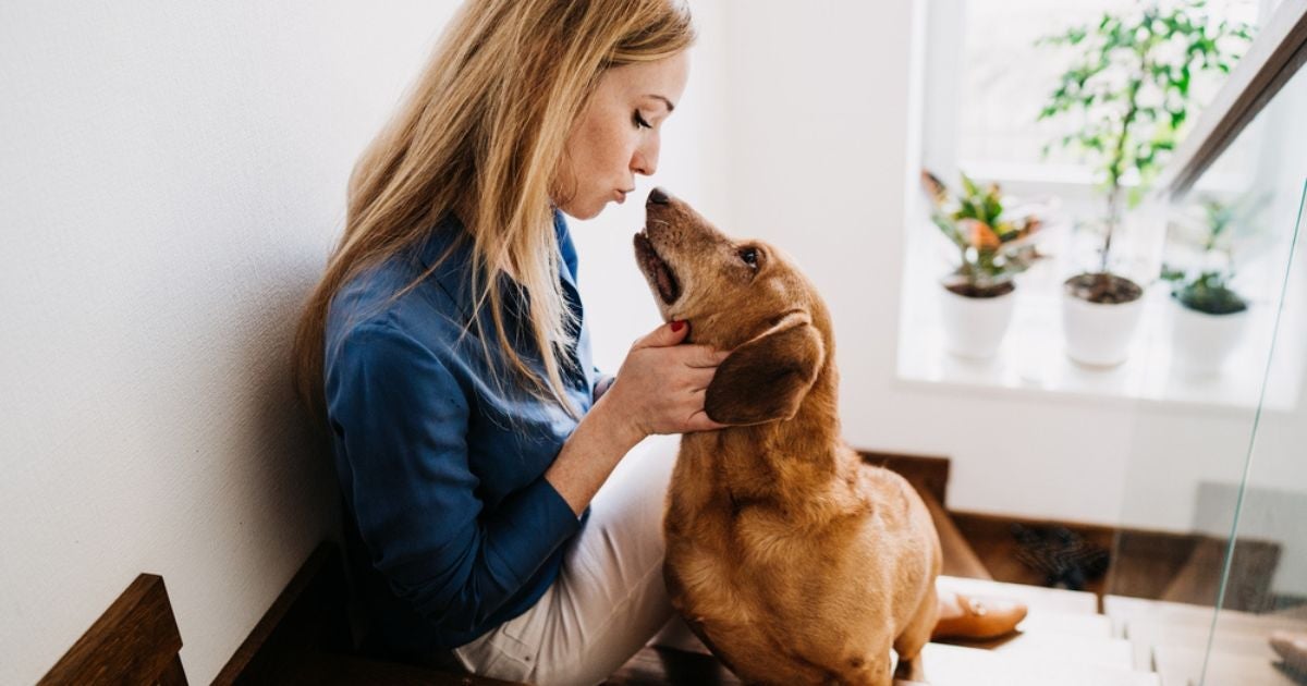 Como falar com cachorro: descubra se usar voz de bebê faz bem ou mal para os cães