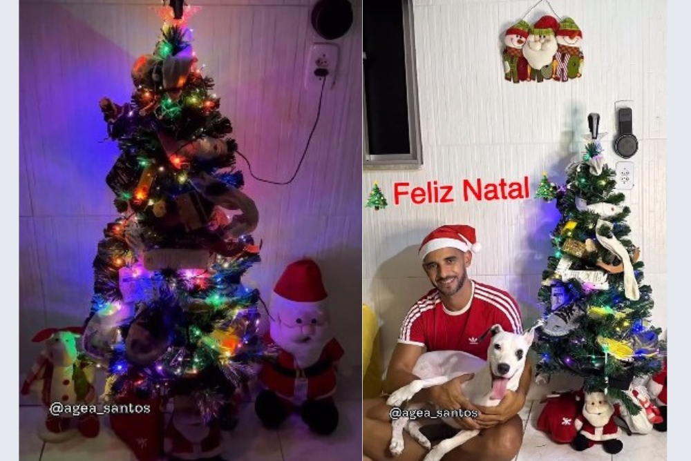 Veja a árvore de Natal que o tutor montou com a ajuda de sua cadela / Créditos Instagram: @agea_santos