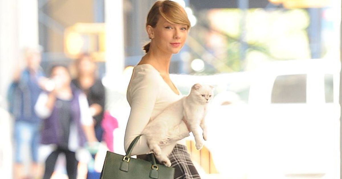 Cachorros e gatos dos famosos: as divas pop também são mães de pet