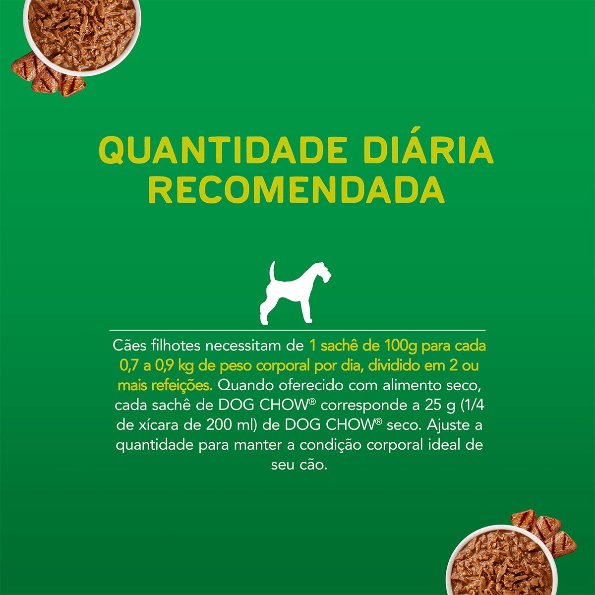 Filhotes carne