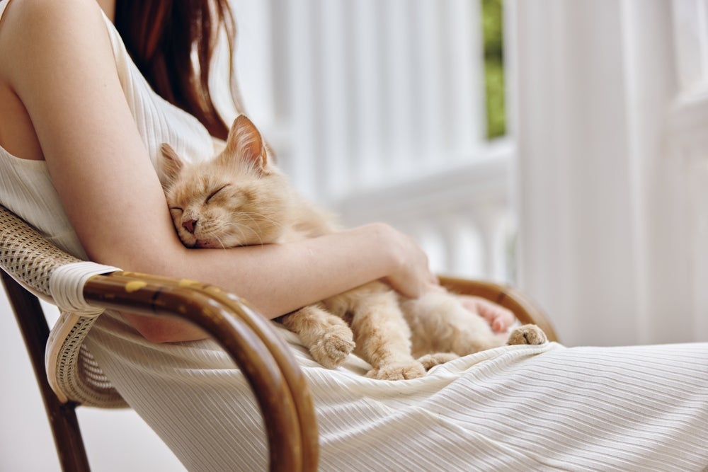 O amor de gato é cheio de peculiaridades interessantes. Vem entender se seu gato te ama!