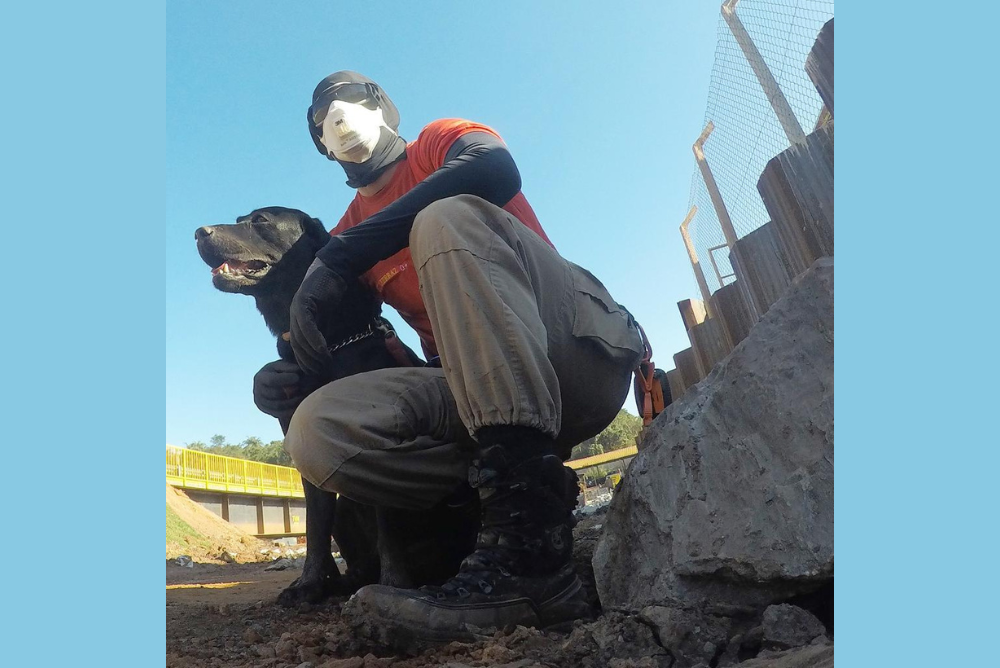 Shogun é um cachorro de trabalho que participou dos resgates da tragédia de Brumadinho 