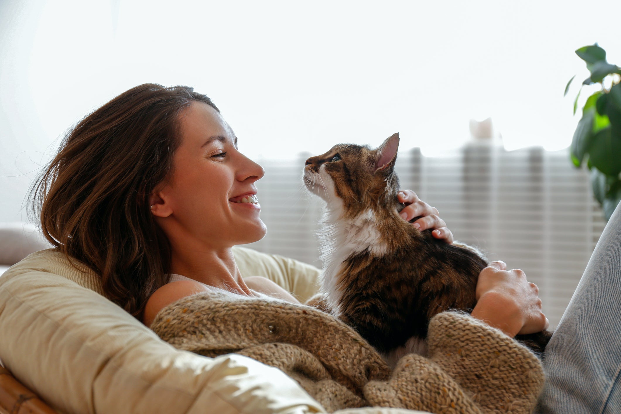 Será que seu gato te vê como a mãe dele?