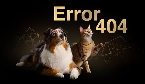 Erro 404 Pro Plan