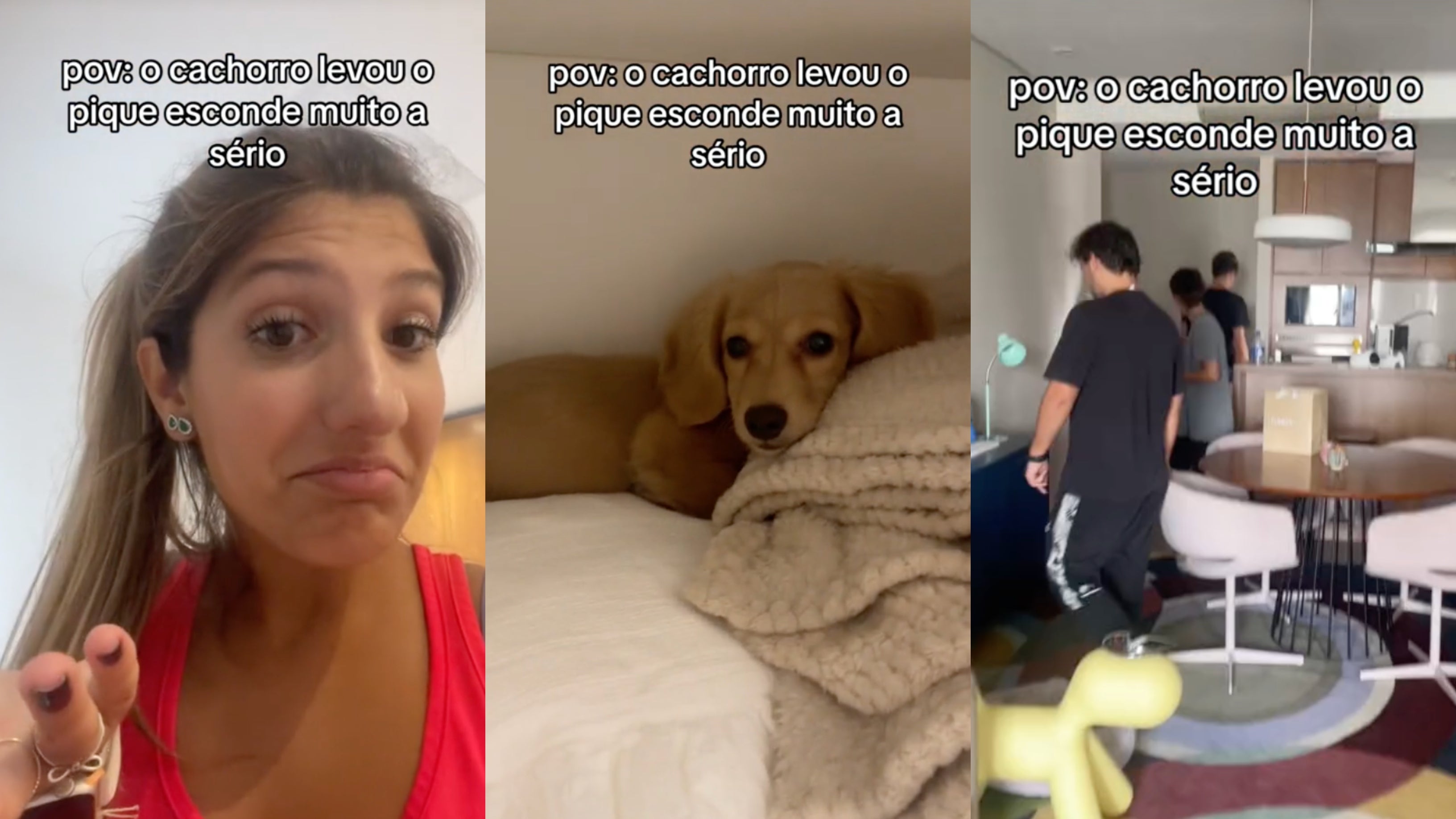 Cachorro se escondendo dentro de casa deixa os tutores desesperados à sua procura. Créditos: TikTok/@notdudacereza