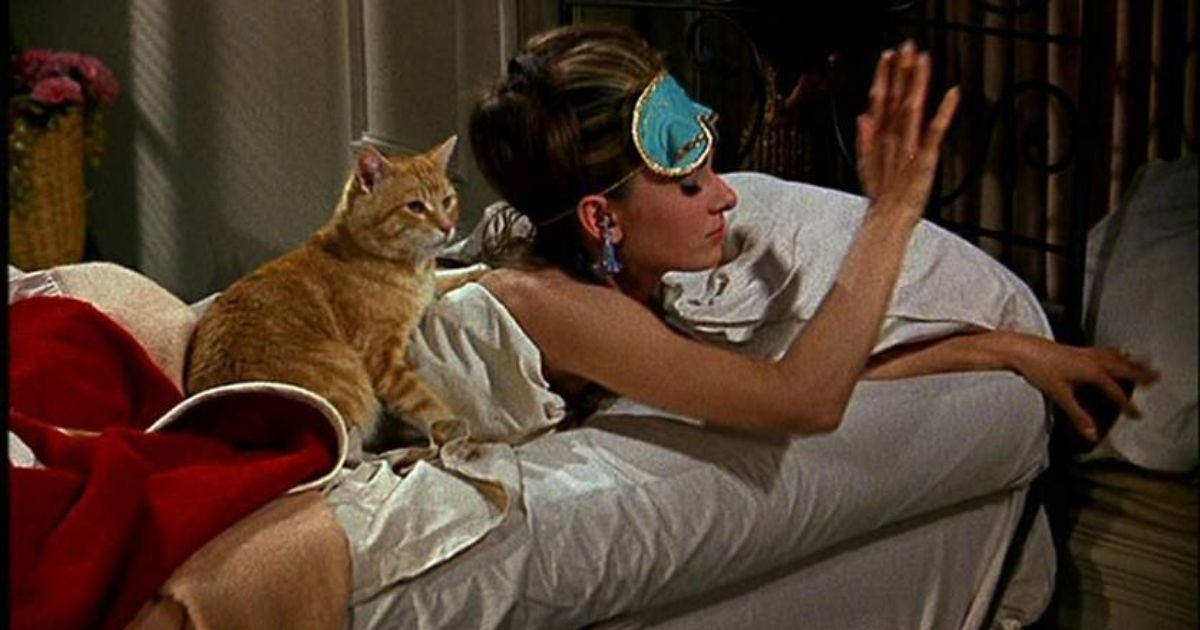 Filmes de cachorro e gato sempre fazem sucesso, mesmo quando os pets são figurantes (Créditos: Divulgação)