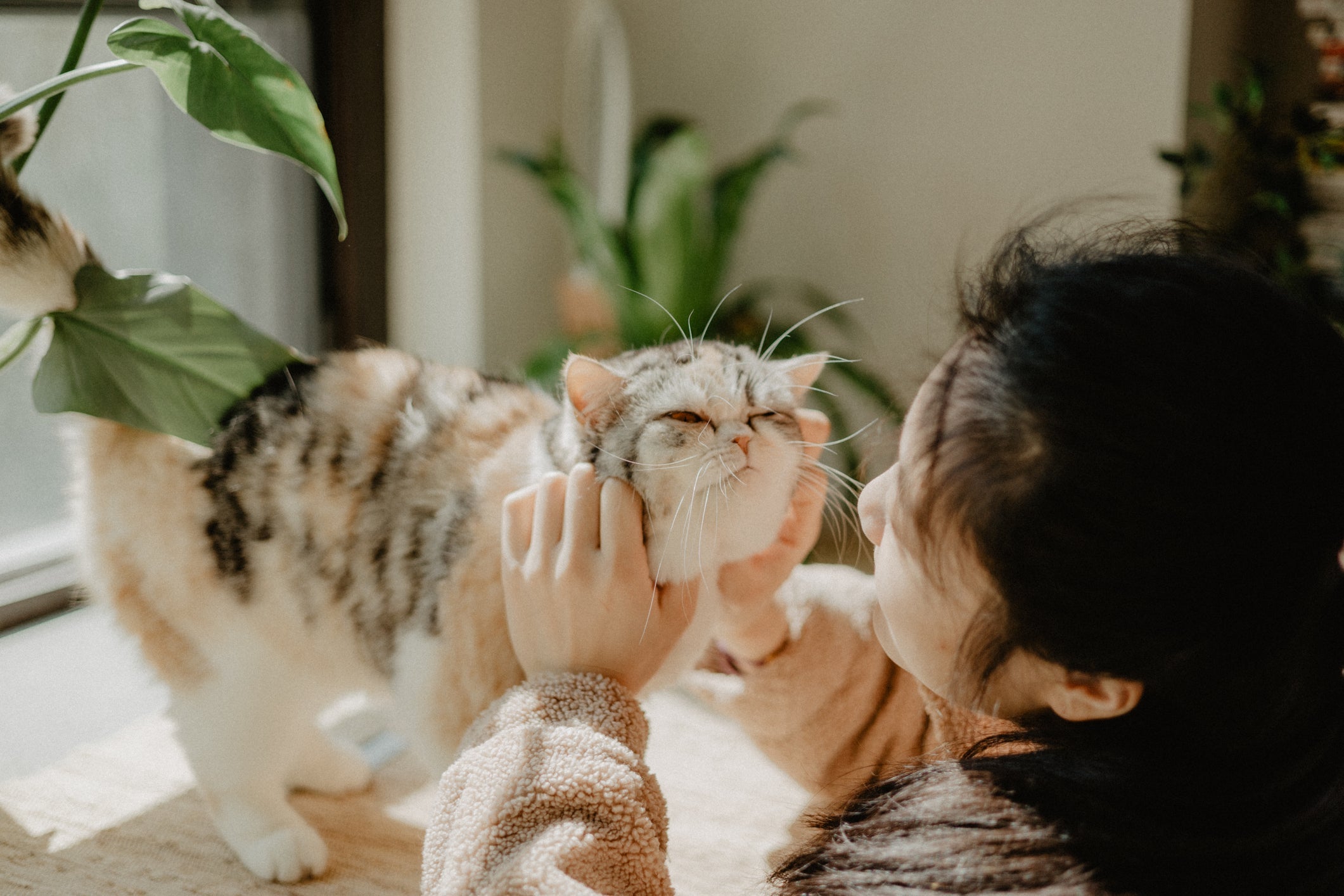 Pai e mãe de pet felizes recebem muito amor e carinho do animal