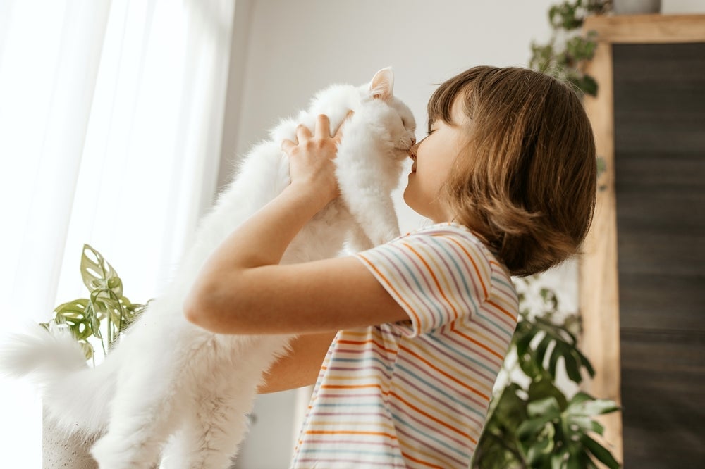 A alergia a gato é desencadeada por uma substância produzida pelo organismo felino