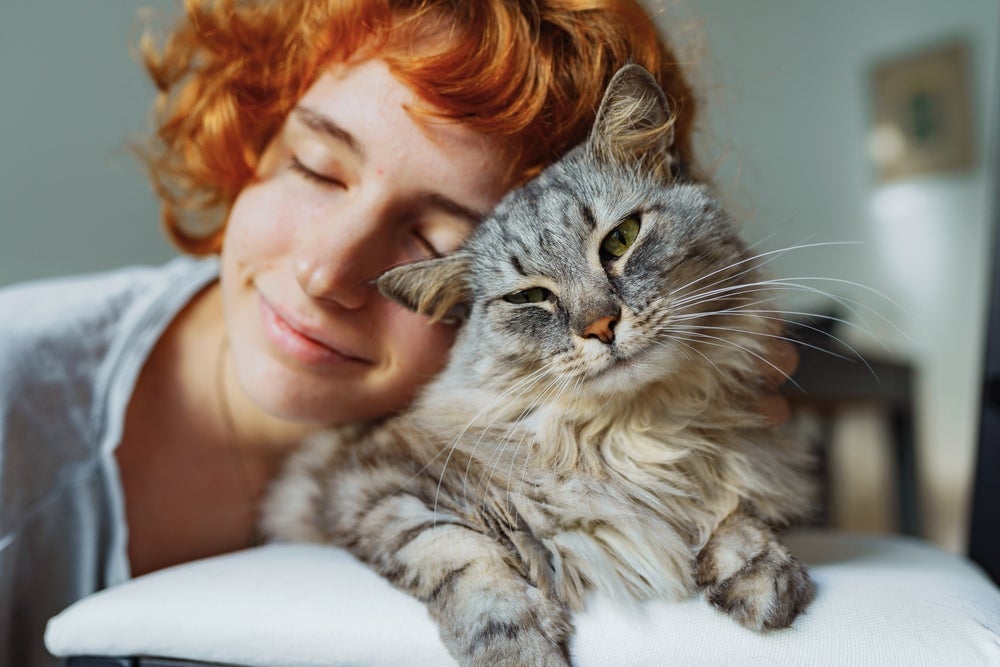 O amor de gato não é tão difícil de ser conquistado quanto parece