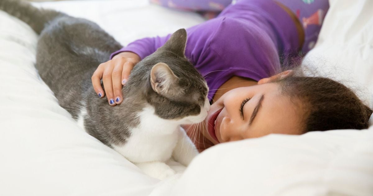 A relação entre gatos e crianças pode ser muito proveitosa — e algumas raças são super indicadas para isso