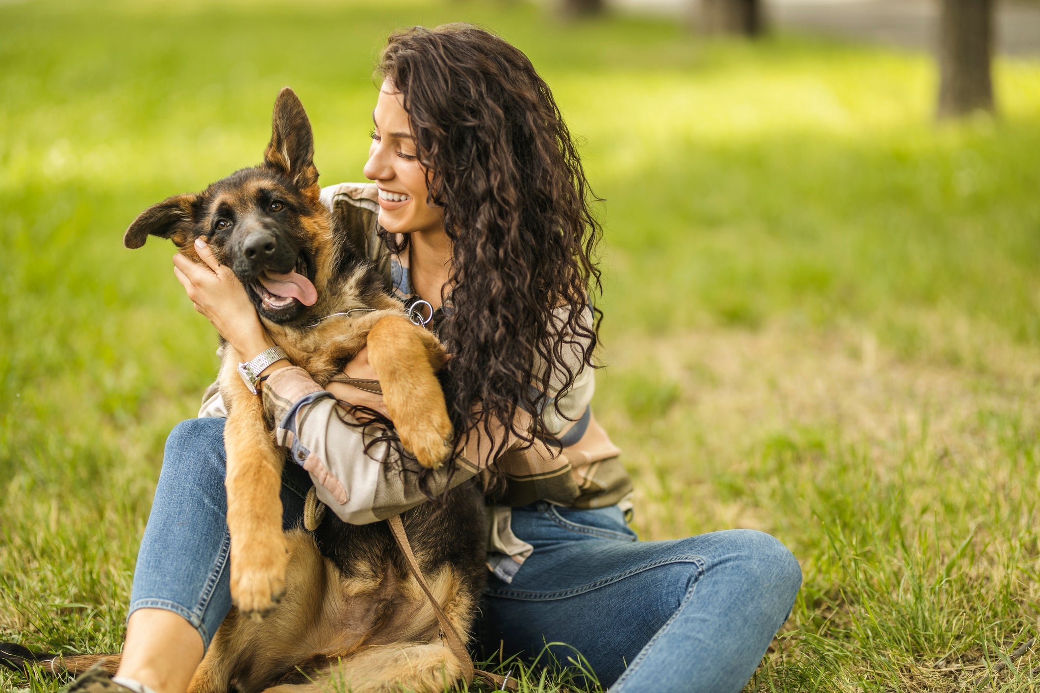 O cachorro atua como um "terapeuta" para os tutores