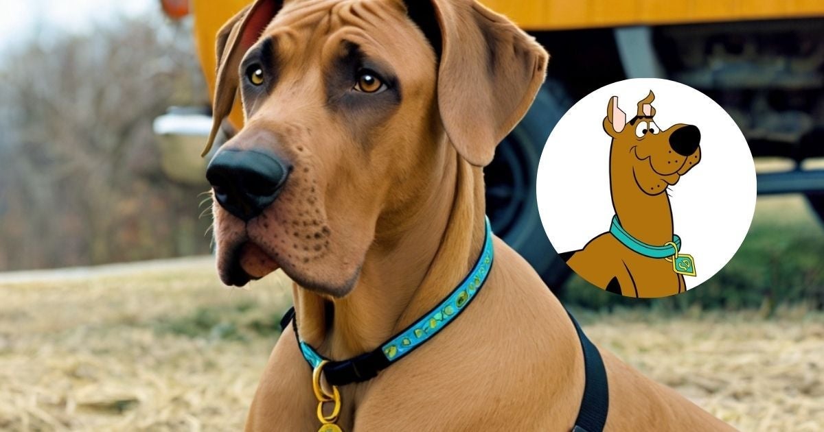 Vários cachorros famosos das telinhas são inspirados em algumas raças populares