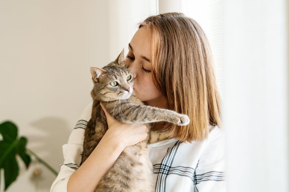O Dia de Abraçar seu Gato é a desculpa perfeita para encher seu pet de carinhos — mas só se ele deixar