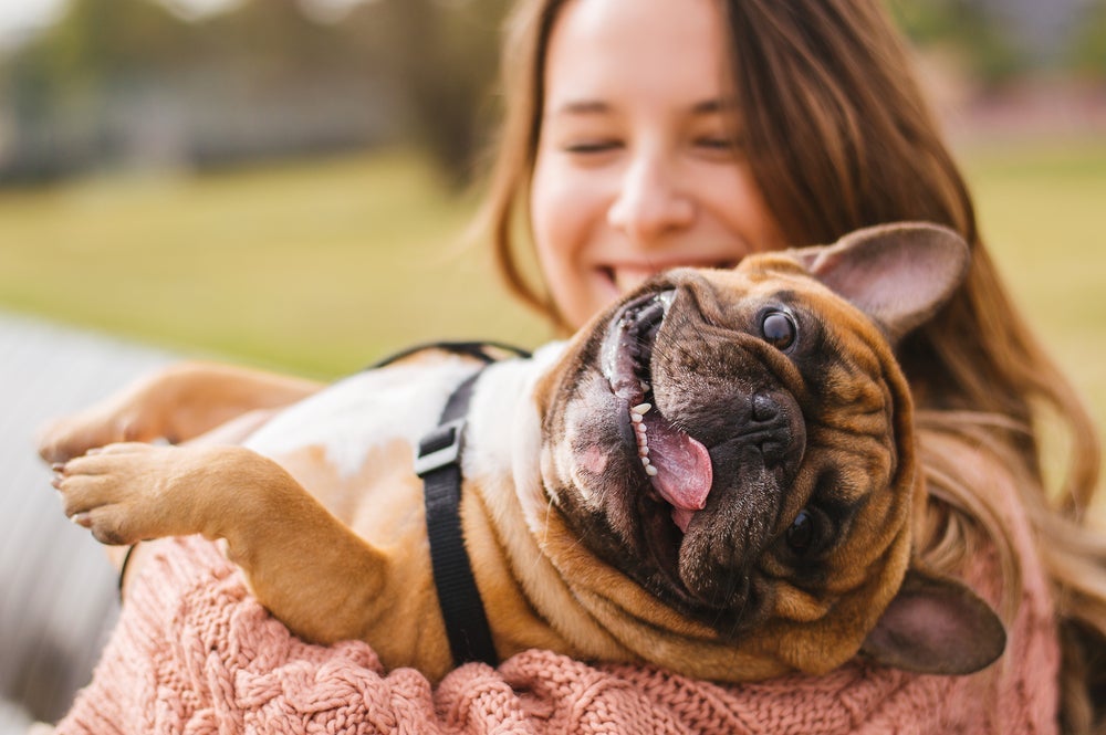 Algumas frases de cachorro podem servir de inspiração para os seus textos sobre seu aumigo