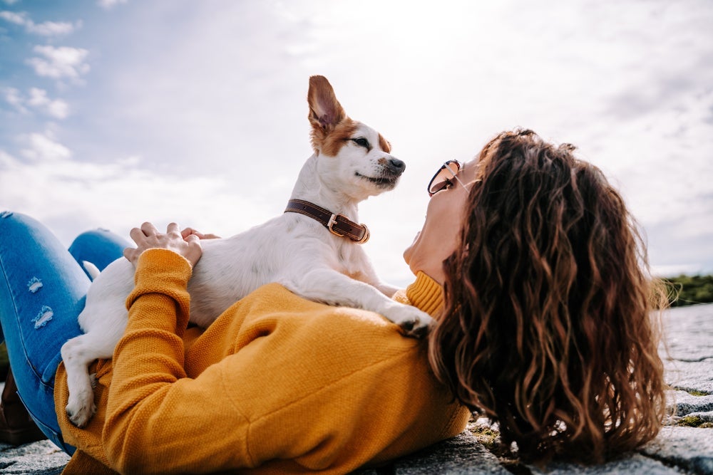 O amor de cachorro é um enigma para muitos
