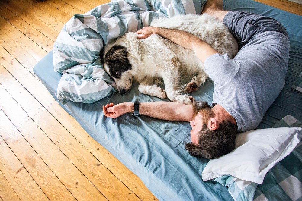 A ideia de que dormir com cachorro faz mal não é real