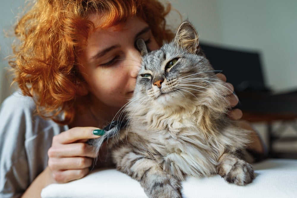 Para deixar seu gato feliz, alguns cuidados são necessários na rotina dele