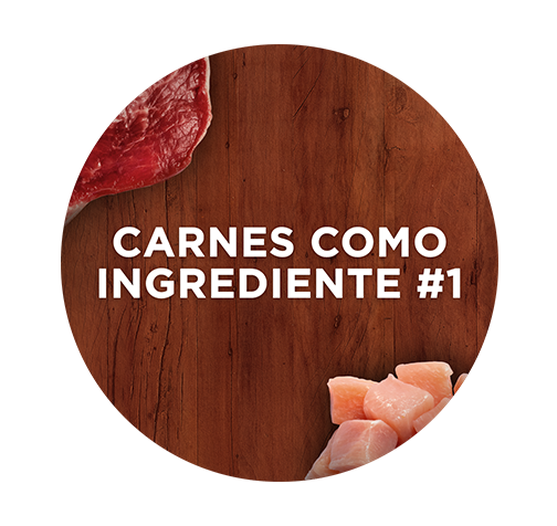 Purina One: ração para cães com carne como ingrediente principal.