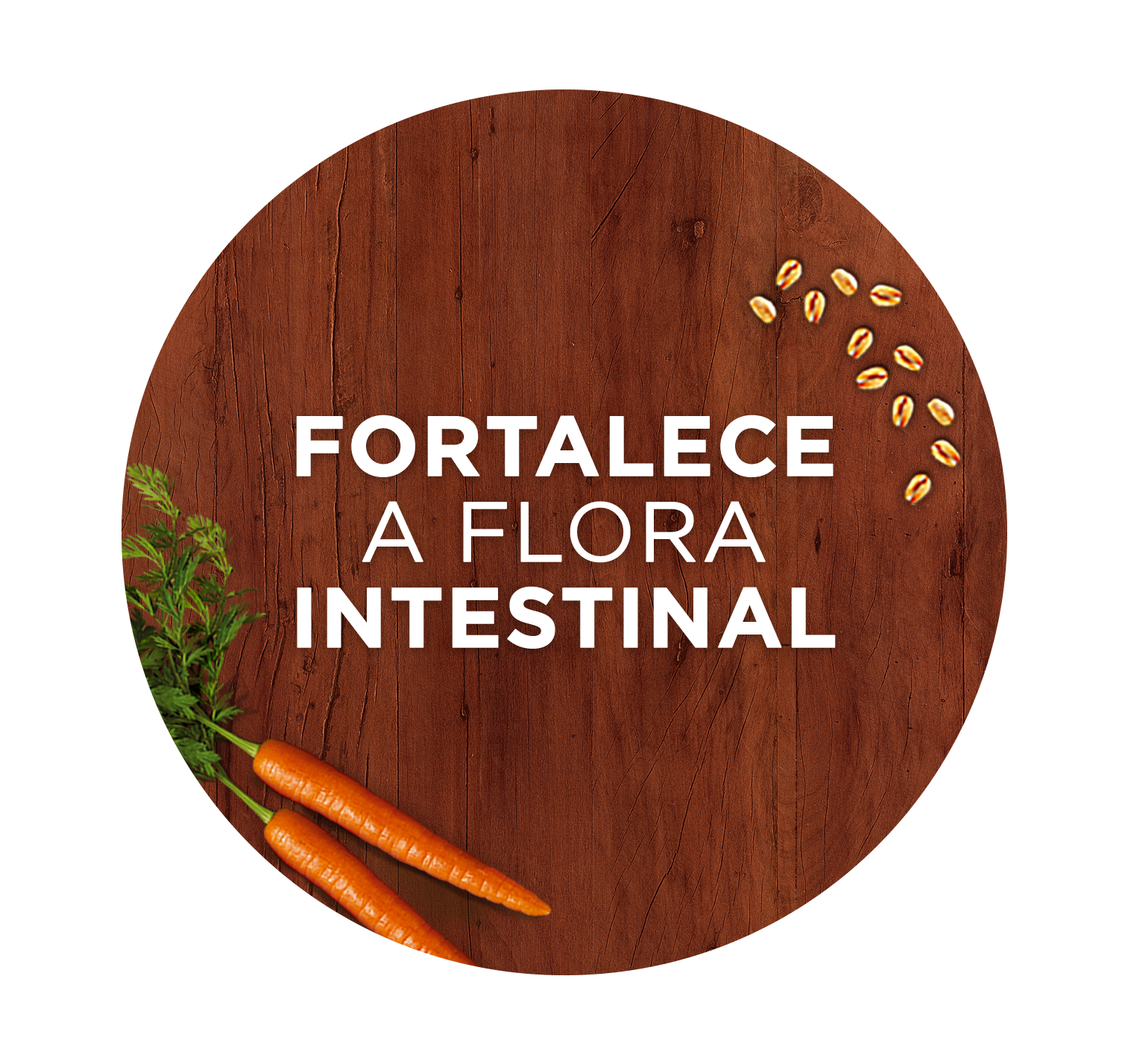 Purina One fortalece a flora intestinal dos cães para uma ótima saúde digestiva.