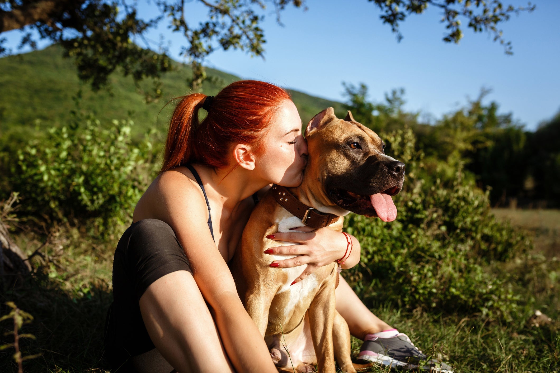 O amor de cachorro por você se revela nos pequenos detalhes