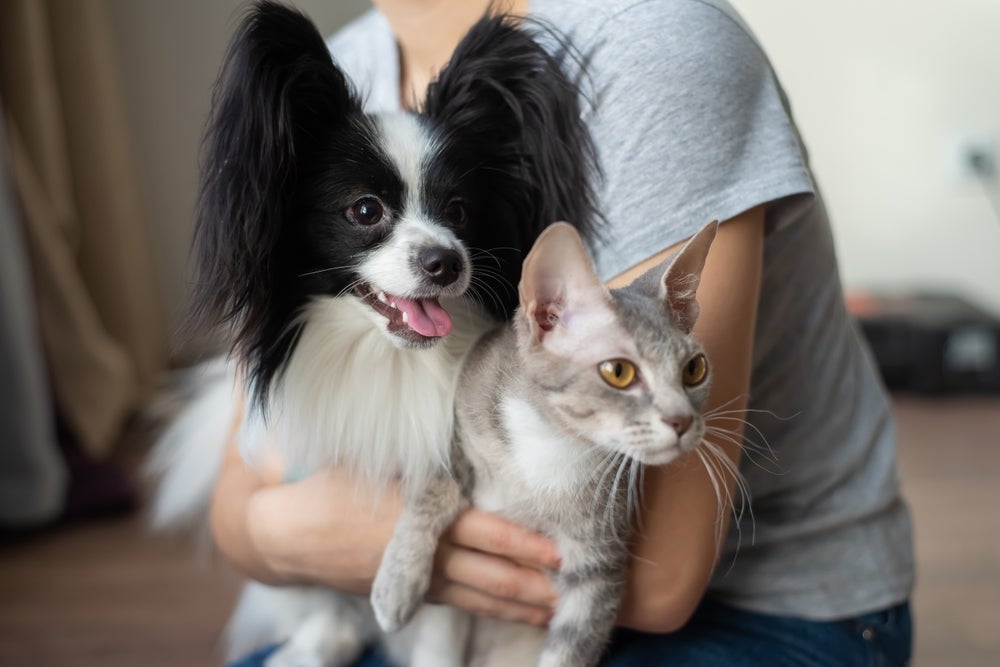 Não importa se você tem um cachorro ou gato: o Patas da Casa fica feliz em ter ajudado todos os tutores!