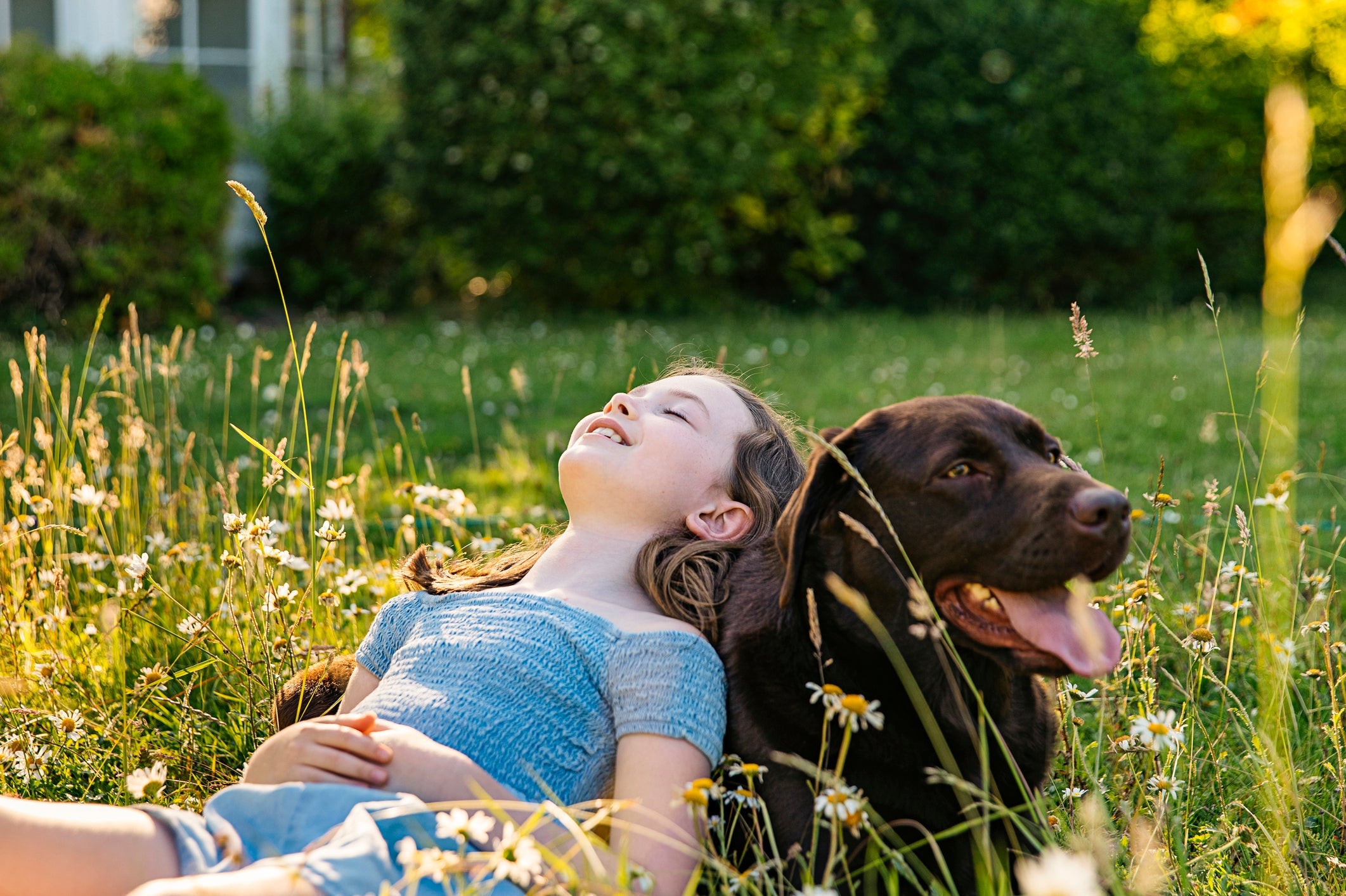 Essas raças de cachorro têm tudo para se tornarem os melhores amigos das crianças