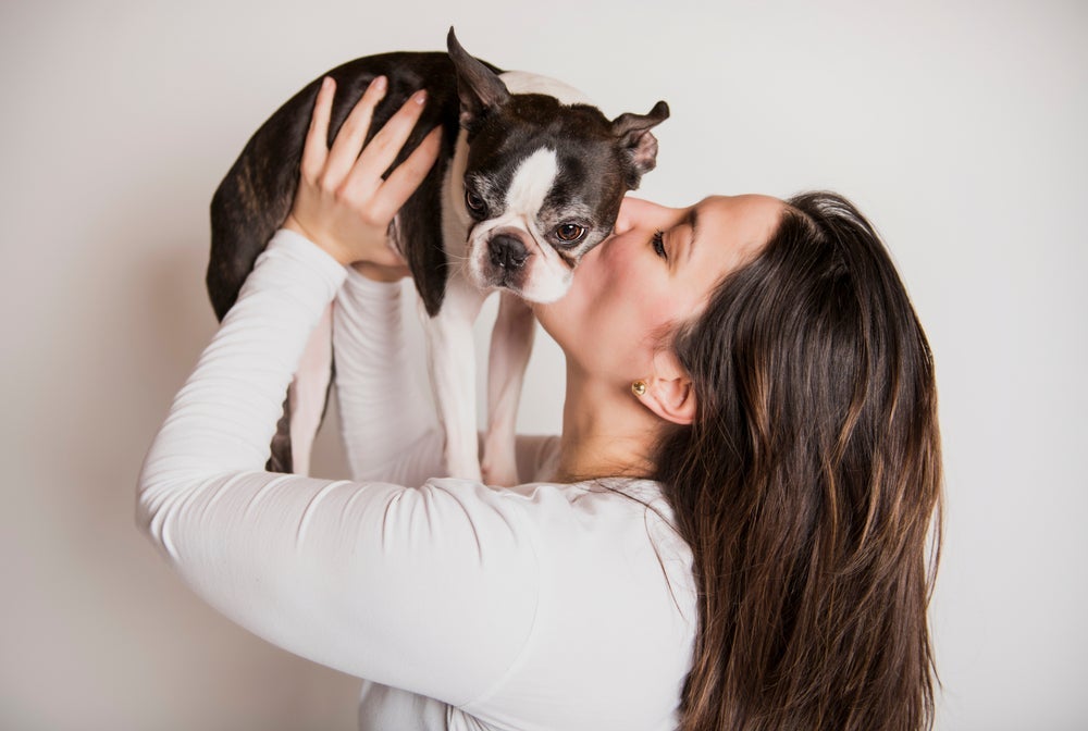 Algumas raças de cachorro podem ser perfeitas para quem nunca teve um doguinho antes