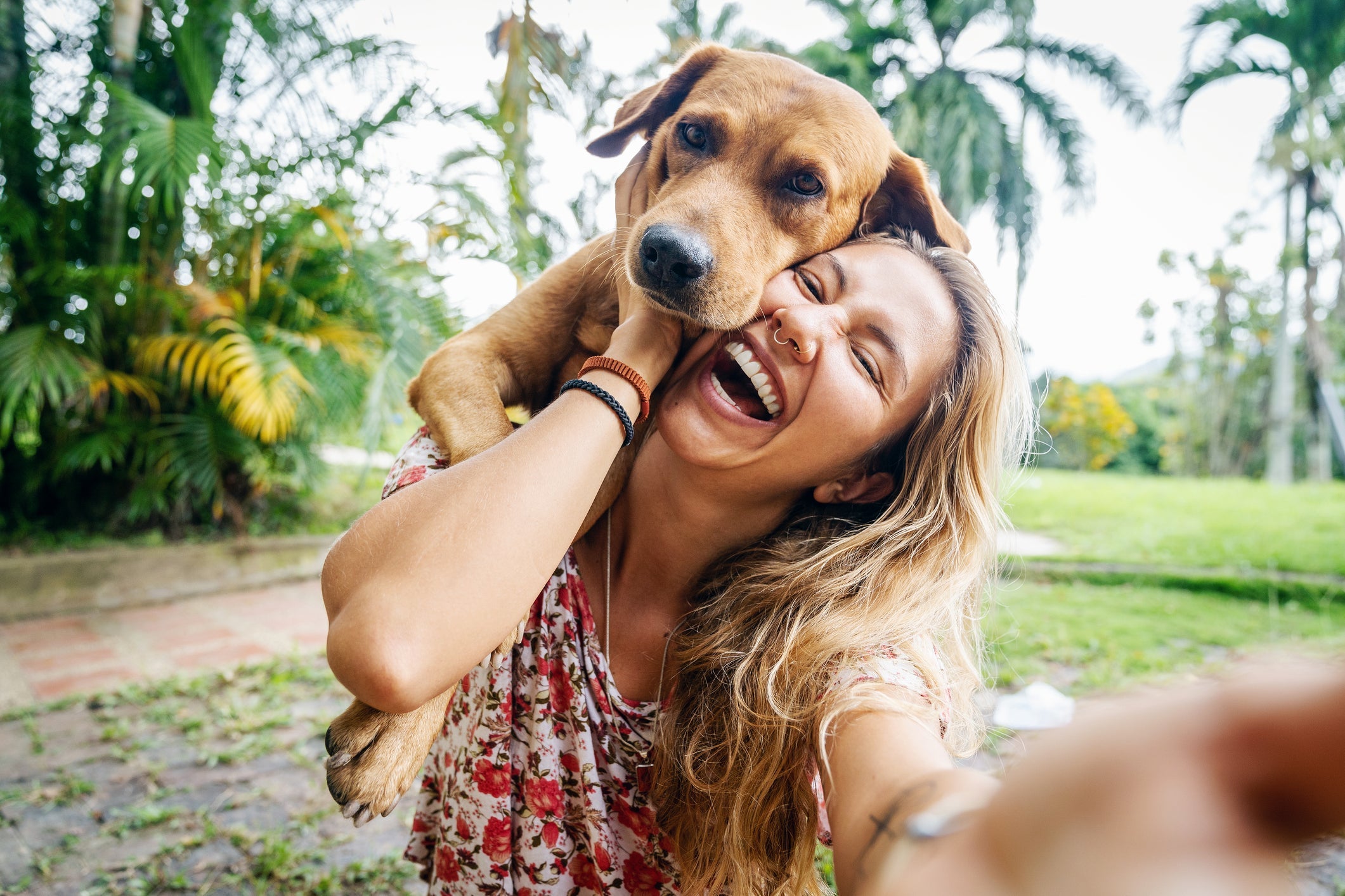 O ato de adotar um cachorro adulto pode salvar a vida de um pet