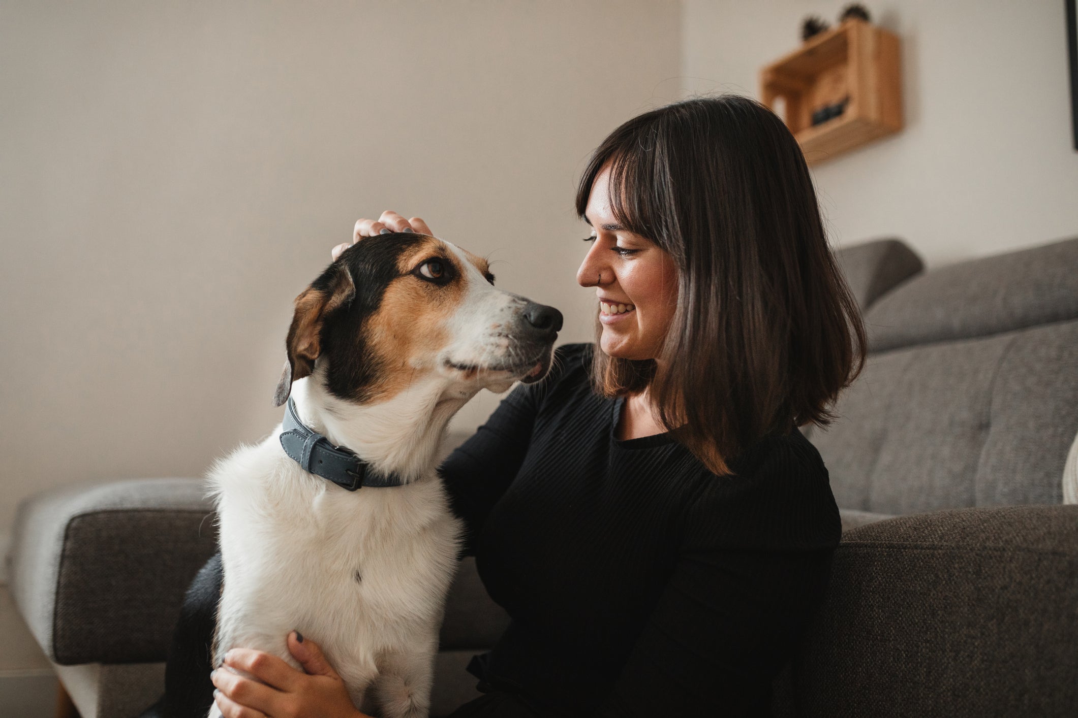 Adotar um cachorro pode te trazer benefícios que você nem imagina