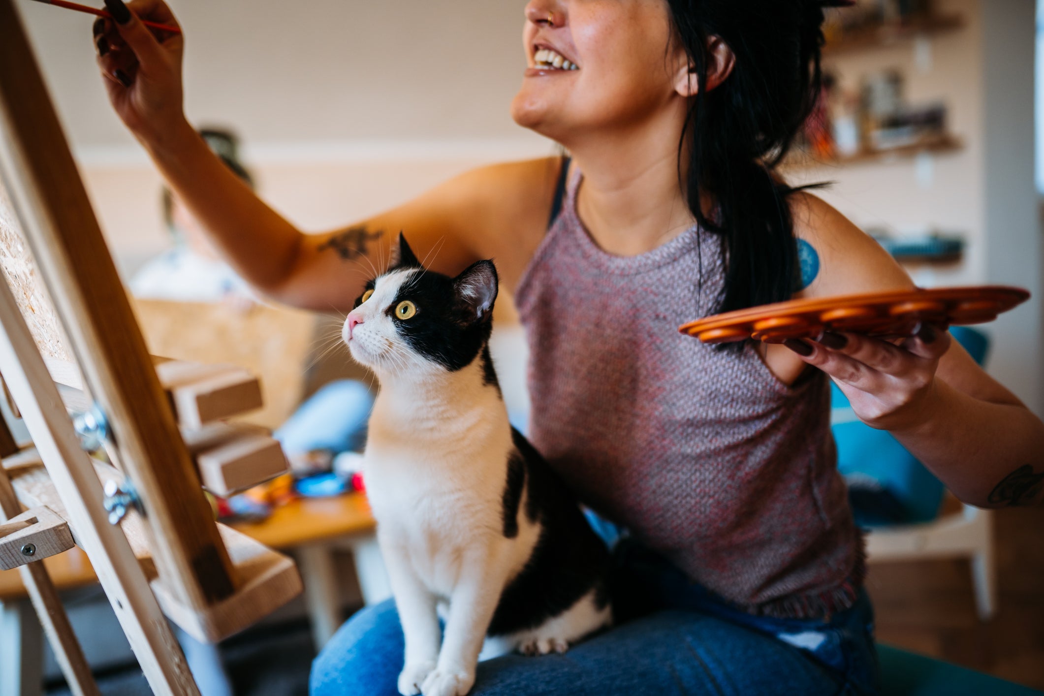 Adote um gato e veja os vários benefícios que eles proporcionam para a saúde mental humana
