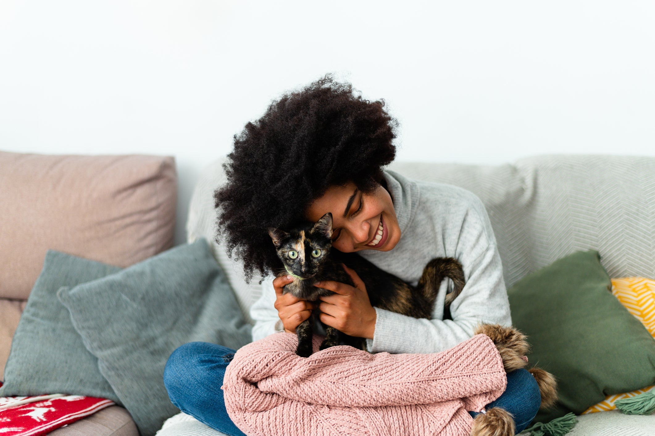 Confira algumas dicas de como escolher um cat sitter de confiança 