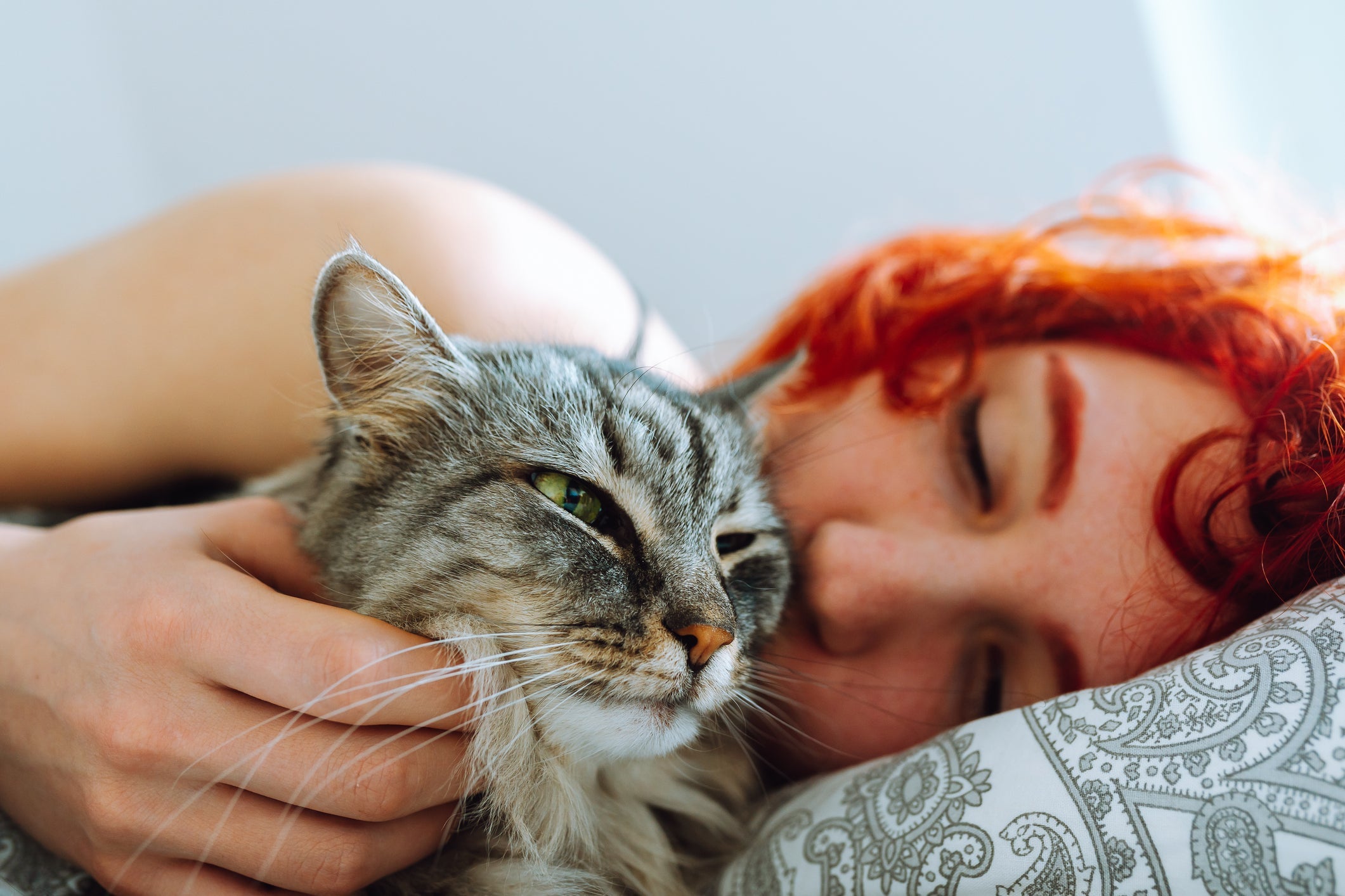Veja o que fazer para seu gato não te acordar muito cedo