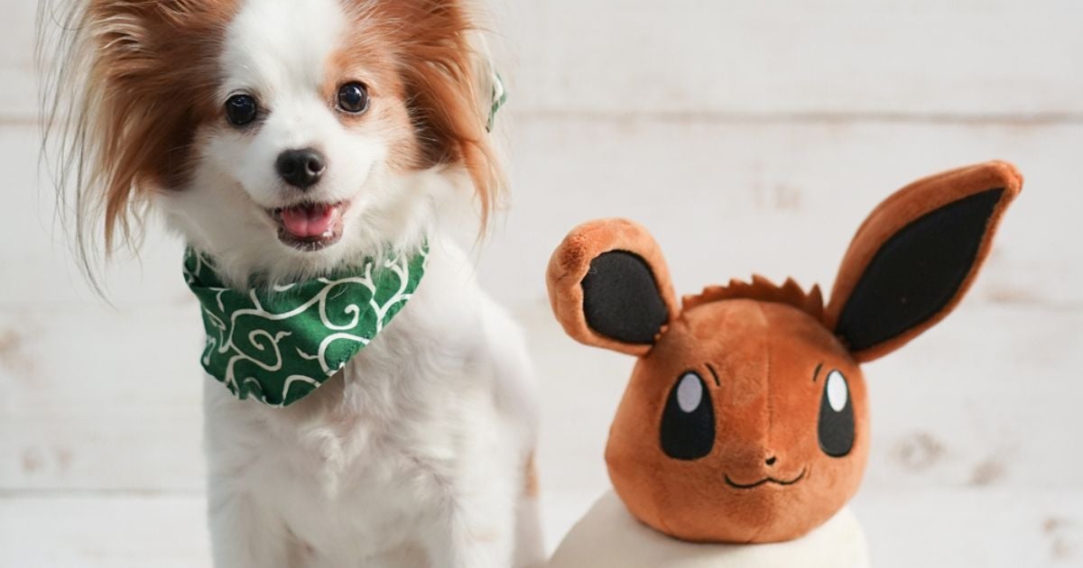 Alguns nomes para cachorro inspirados em Pokémon podem ser ótimos para o seu aumigo