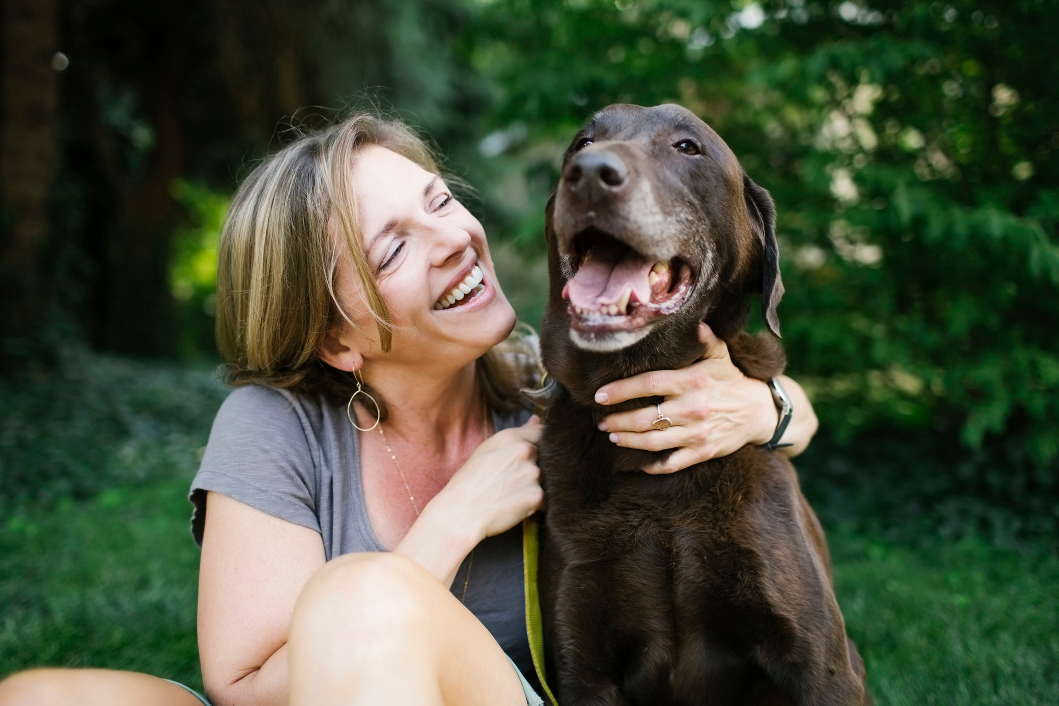 Conquistar o amor de um cachorro é mais simples do que parece
