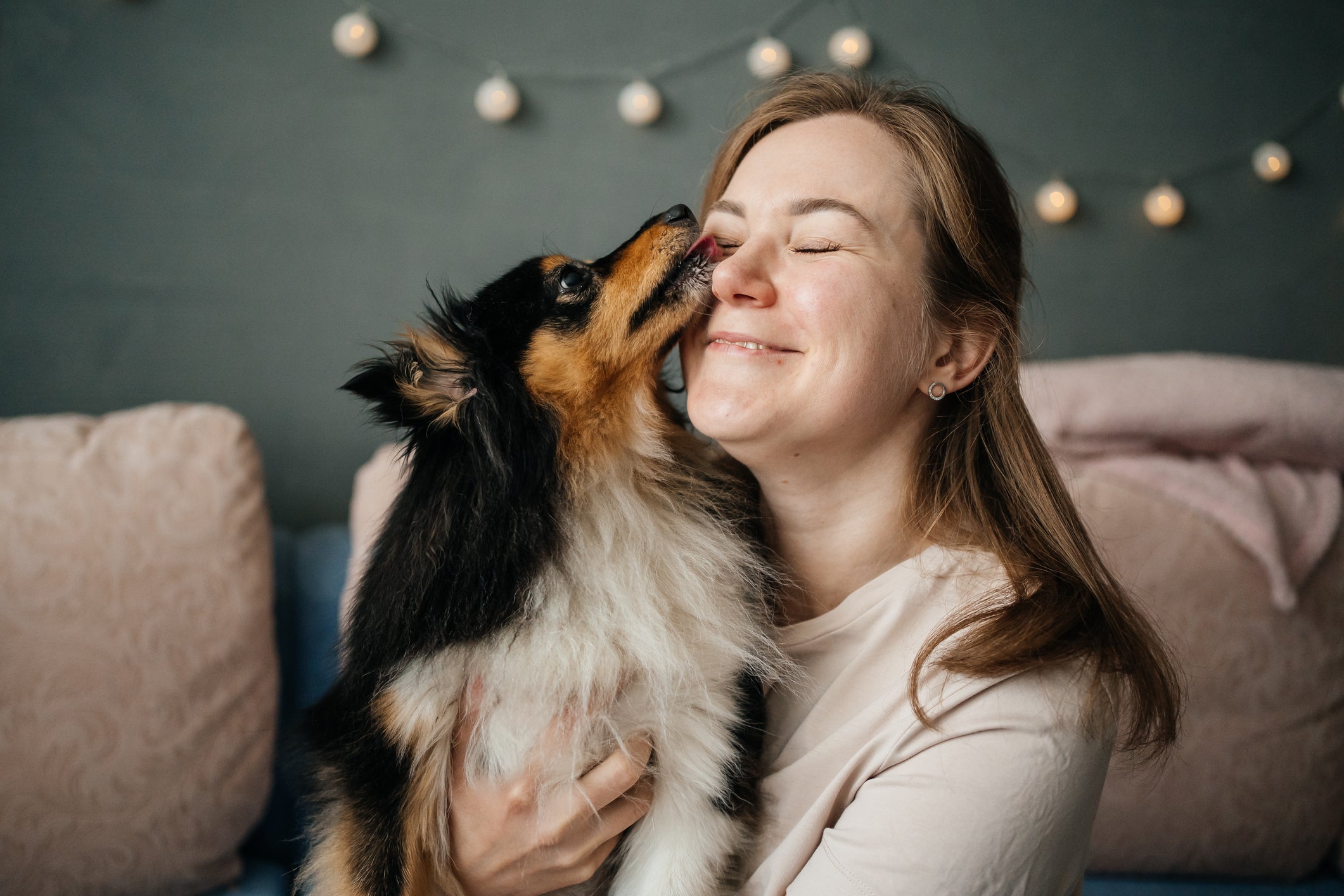 Veja algumas dicas para se tornar o melhor amigo do seu cachorro